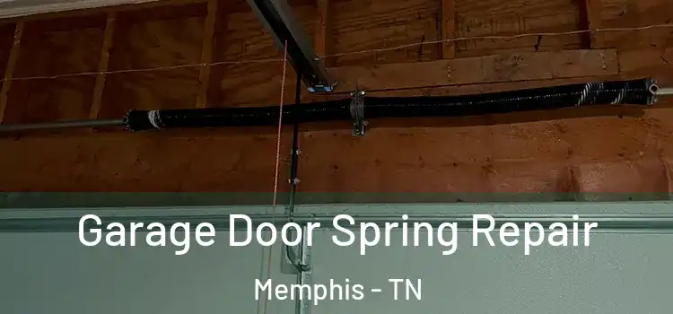  Garage Door Spring Repair Memphis - TN