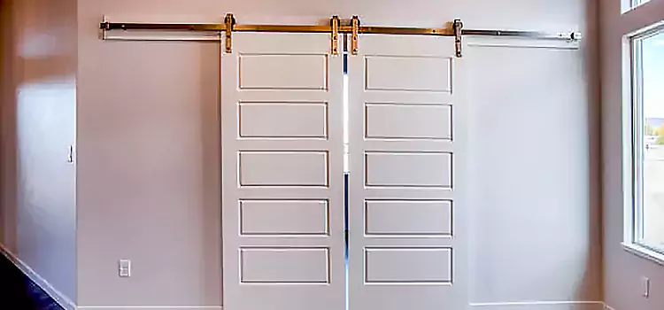 Glass Barn Door with Installation Hardware Kit Memphis