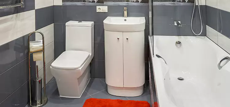 Hansgrohe Shaving Mirror Memphis